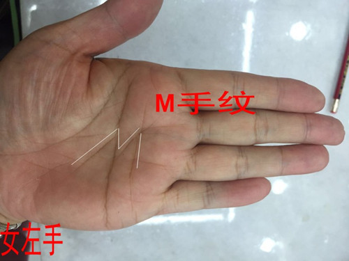 八字算命细致精批生平2022年11月1日