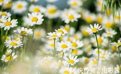 2020年属羊女命运最恶运2022年11月1日