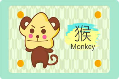 12星座的能量，求学业