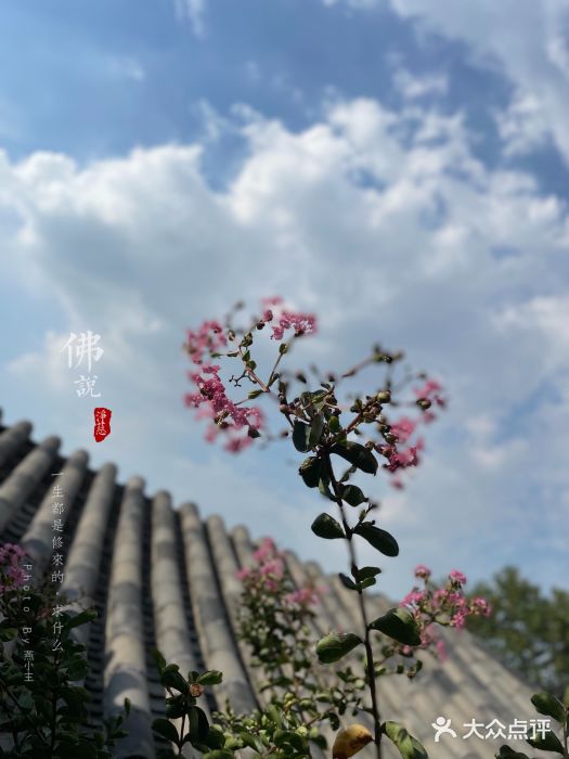 求学业白羊座男生的恋爱毛病(弓手座女素性子)