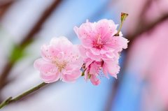 六十四卦断事歌诀求学业