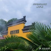 求学业大林木命和大海水命喝吗(属猪大海水命好