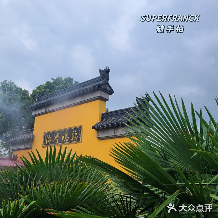 求学业大林木命和大海水命喝吗(属猪大海水命好欠好)