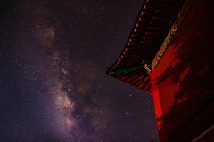 十二生肖灵敏排行榜2022年11月2日