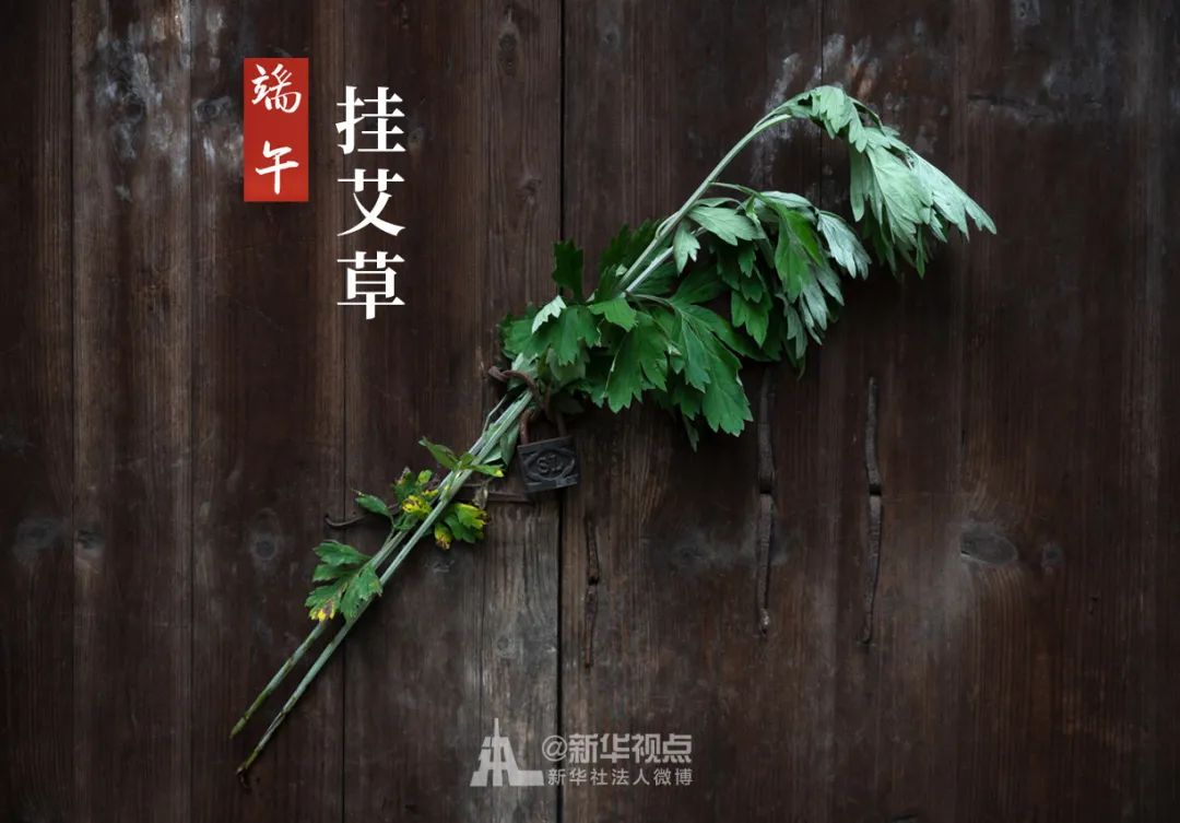 正缘来之前都很凄凉求学业