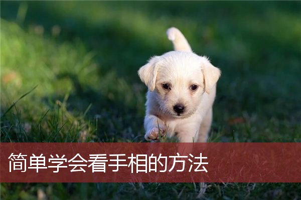 求学业十二星座鞋-生肖穿什么高跟鞋