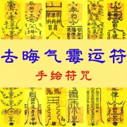 求学业最耐不住重寂的星座女