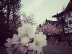 求学业终究熬过了2019(水瓶座2020年运势)