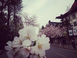 求学业终究熬过了2019(水瓶座2020年运势)