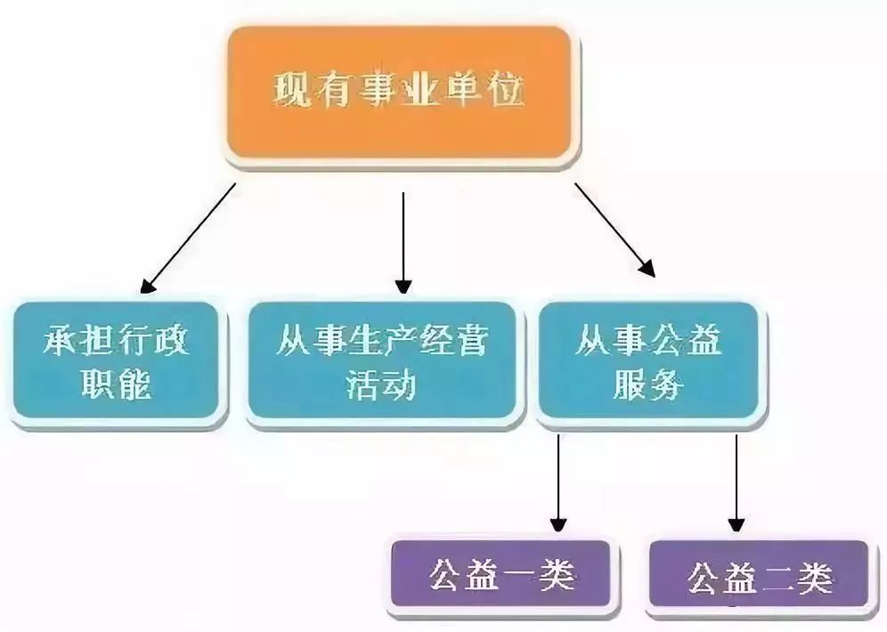 浑家不爱须眉十大出现，求学业