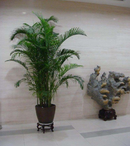 求学业最准的星座配对指数表
