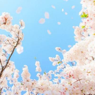 这6天诞生的人菩萨保佑求学业