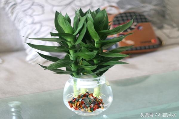 射中无官杀的男命正财偏星？人缘变好