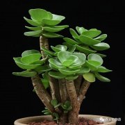 人缘变好命上带3种情状 昆裔乏力 子嗣难昌隆