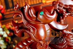 龙害兔照旧兔害龙_求学业