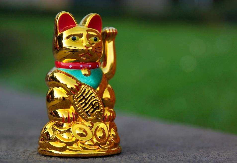 求学业十二星座猫耳朵萌少女