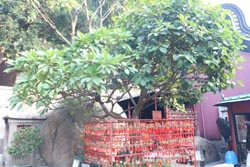 一元硬币测吉凶文王64卦-求学业