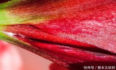 人缘变好会成为夫人的女命八字 得不到恋爱八字