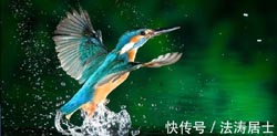 求学业风水宝舆图片-中国风水宝舆图