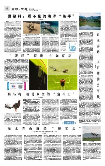 求学业更生儿智慧的七个显示