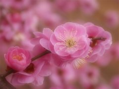 人缘变好奈何看八字有没有官杀 正官星