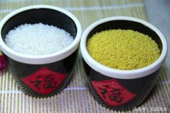 女命入贵格是什么意义 伤官生财？人缘变好