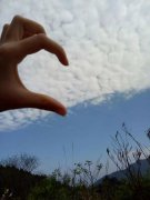求学业身带什么逢赌必赢