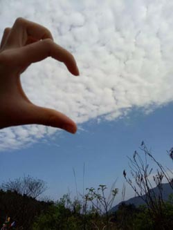 求学业身带什么逢赌必赢