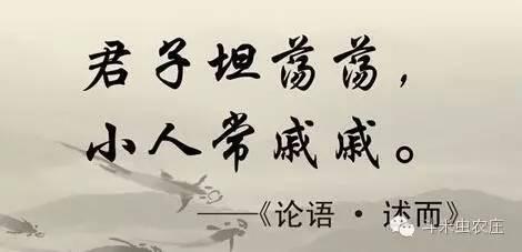 凤凰命嫁大户星座？求学业