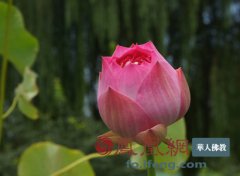 不会与人相处的星座女求学业