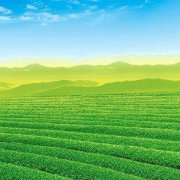 潘季驯-任何方法向明潘季驯黄河是最好有图片。