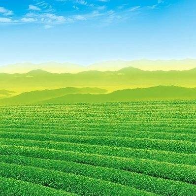 潘季驯-任何方法向明潘季驯黄河是最好有图片。感谢！，求学业