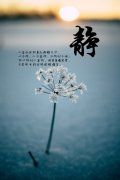 八字纯阳人都能修谈吗求学业