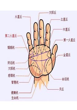 求签观音灵签下载2022年11月4日
