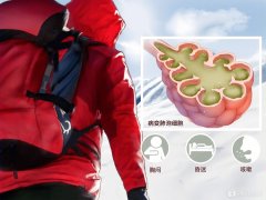 免费测命 见利忘义之人的特质2022年11月4日