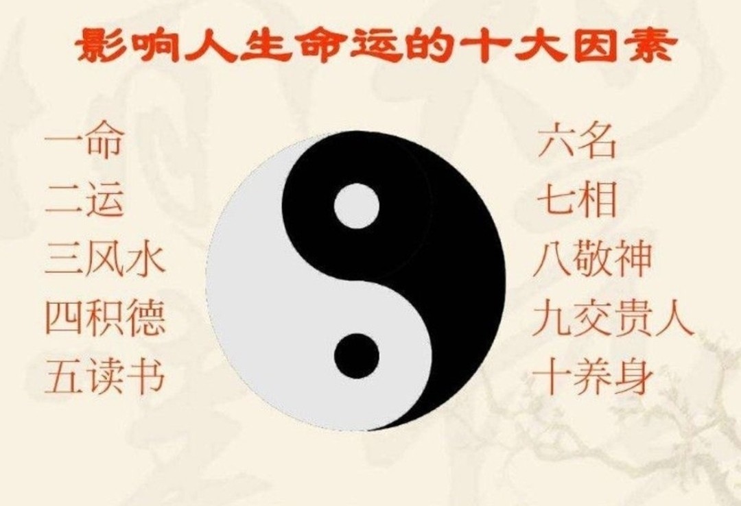 旺夫的女人路格都很分表求学业