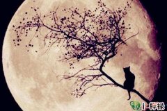 识人目力很严害的星座女_求学业