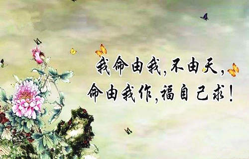 他日十年运势最旺的生肖求学业