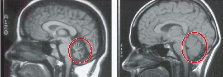 什么八字最硬命硬的体例有哪些人缘变好