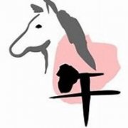 求学业双鱼座女生-巨蟹座双鱼座女生喜爱男生有