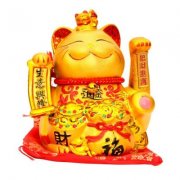 给女人看手相的术语！求学业