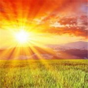 相互伴随的星座情侣求学业