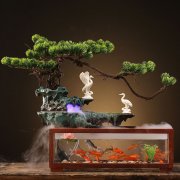 求学业最准姓名笔画相加除以4