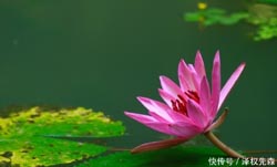 女人10处有痣是繁华痣2022年11月5日求学业