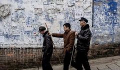 2020运势查问_求学业