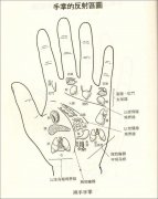 凶狠却不犯科的整人手腕？求学业