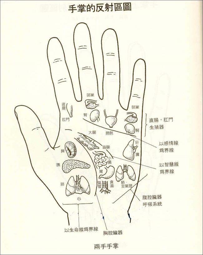 凶狠却不犯科的整人手腕？求学业