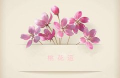 给自身摇一卦(免费诸葛拆字三藏算命)，求学业