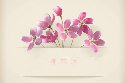 给自身摇一卦(免费诸葛拆字三藏算命)，求学业