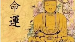 人缘变好嫁得好 嫁好老公的八字的八字特征